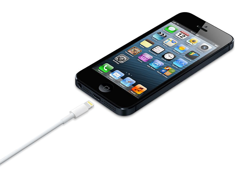 natuurlijk salaris Overeenkomstig DigitalsOnline - apple lightning naar usb kabel for iphone 5 & ipad mini  origineel